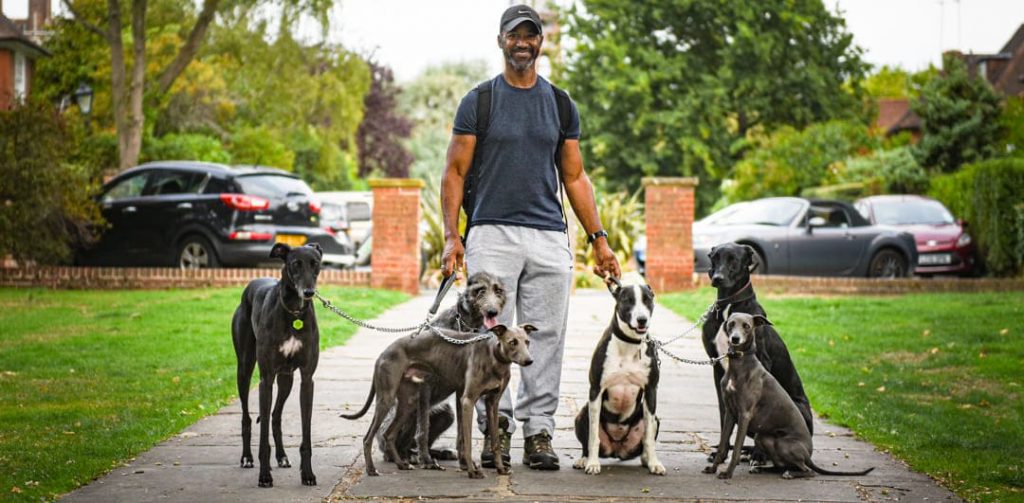 Don Jordan, founder of The Sighthound Guy, with his greyhounds in North London